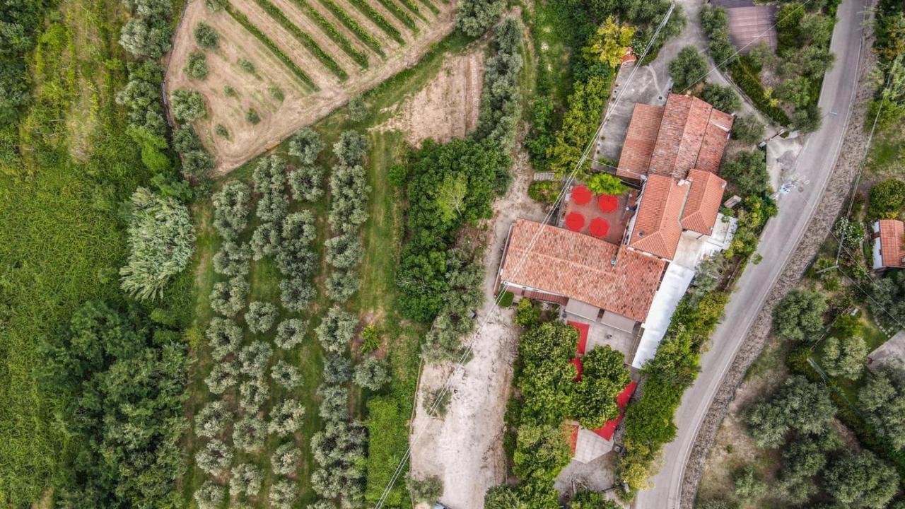 Tavern Di Arqua' Arqua Petrarca Dış mekan fotoğraf
