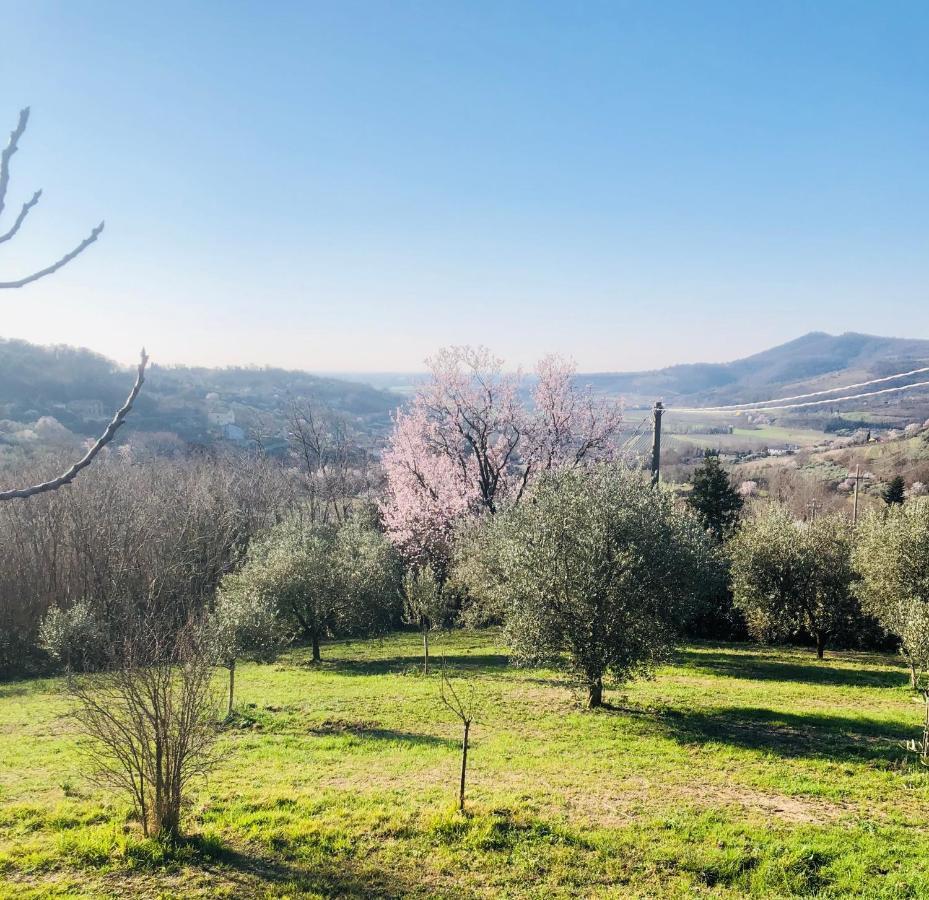 Tavern Di Arqua' Arqua Petrarca Dış mekan fotoğraf